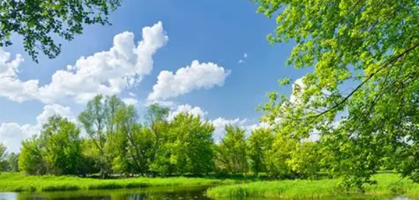 環境を守って未来を創る！水質調査の専門技術を身に付けるチャンス！